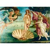 Puzzle 4000p Botticelli - The birth of Venus