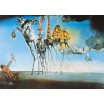 Puzzle 1000p Dalí - The Temptation of St. Anthony