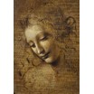 Puzzle 1000p La Scapigliata Leonardo da Vinci