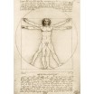 Puzzle 1000p The Vitruvian Man Leonardo Da Vinci