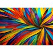 Puzzle 1000 p Colourful Feather