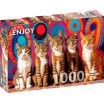 Puzzle 1000 p Five cats