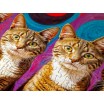 Puzzle 1000 p Five cats