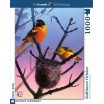 Puzzle 1000 p Cornell Lab Baltimore Orioles