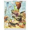 Puzzle 1000 p Vintage collection Océanographie