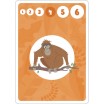 Bataille Auzou Animaux du Monde
