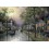 Puzzle 1000 p Le réveil du village