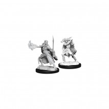 D&D Miniatures Winter & Spring Eladrin