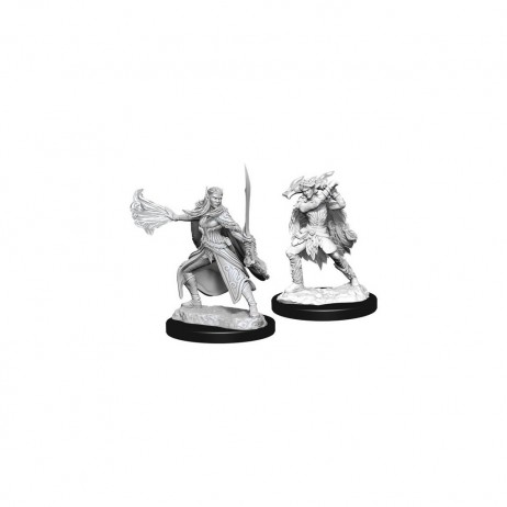 D&D Miniatures Winter & Spring Eladrin