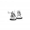 D&D Miniatures Winter & Spring Eladrin