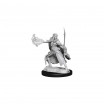 D&D Miniatures Winter & Spring Eladrin