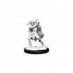 D&D Miniatures Winter & Spring Eladrin
