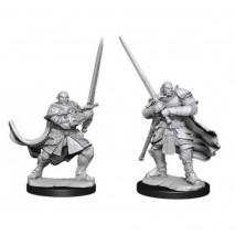 D&D Miniatures Half Orc Paladin Male