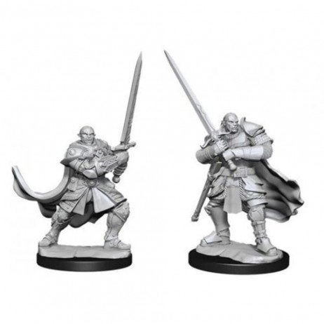 D&D Miniatures Half Orc Paladin Male