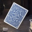 THEORY 11 - HARRY POTTER SERDAIGLE 