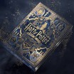 THEORY 11 - HARRY POTTER SERDAIGLE 