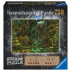 Escape puzzle - Temple Ankor what