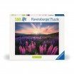 Puzzle 500p Lupins