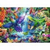 Puzzle 1000p Colibri