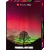 Puzzle 1000p Power of Nature Sycamore