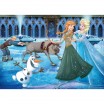 Puzzle 1000 p La Reine des Neiges