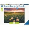 Puzzle 500 p Pissenlits au Crépuscule