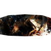 Werewolf L'Apocalypse Les Outils du Conteur