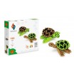 Origami 3D Tortues