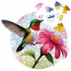 Puzzle 100 p Colibri