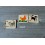 Livre en bois animaux mini