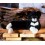 Peluche Chat 41 cm