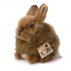 Peluche Lapin 18 cm