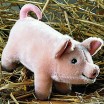 Peluche Cochon 17 cm