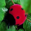 Peluche Coccinelle 8 cm