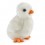 Peluche Poussin Blanc 14 cm