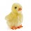 Peluche Poussin jaune 12 cm