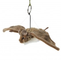 Peluche Petite Chauve-Souris 23 cm