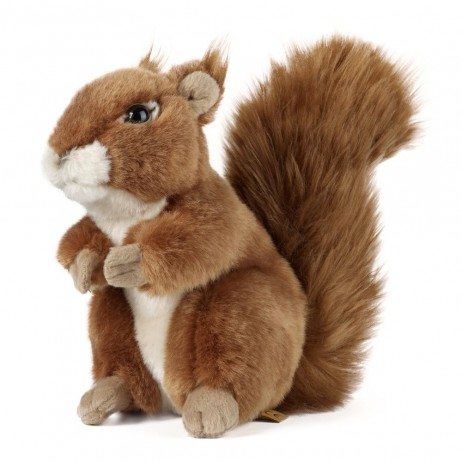 Peluche Grand Écureuil 18 cm