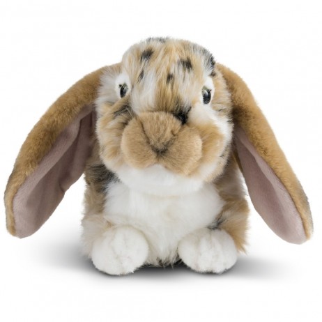 Peluche Lapins Bélier brun 25 cm