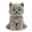 Peluche Chaton British Shorthair 17 cm