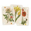 Officinalis de Luxe