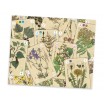 Officinalis de Luxe