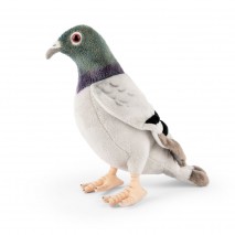 Peluche Pigeon