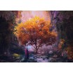 Puzzle 1000 p Forêt Enchanteresse