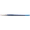 Pinceau Raphaël 82040 Taille 0