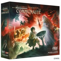 Seigneur des Anneaux Le Destin de la Communauté
