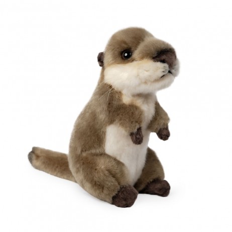 Peluche Bébé Loutre