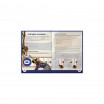 Wilderfeast Livre de Base