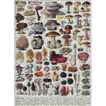 Puzzle 1000p Les Champignons I