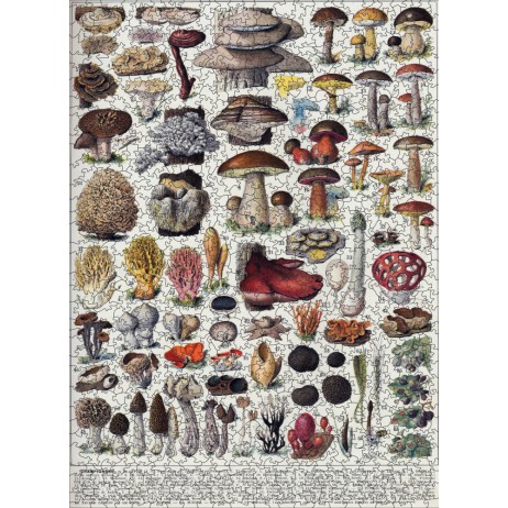 Puzzle 1000p Les Champignons I Puzzle 1000p Les Champignons I